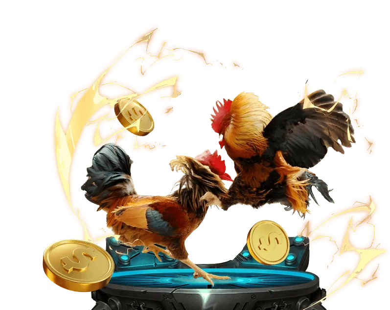 Hình ảnh một trận đá gà kịch tính tại đấu trường, thể hiện sự hấp dẫn của 999bet